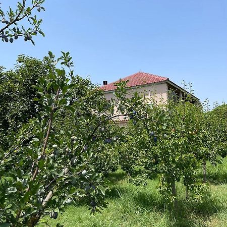 Villa Mance ベラト エクステリア 写真