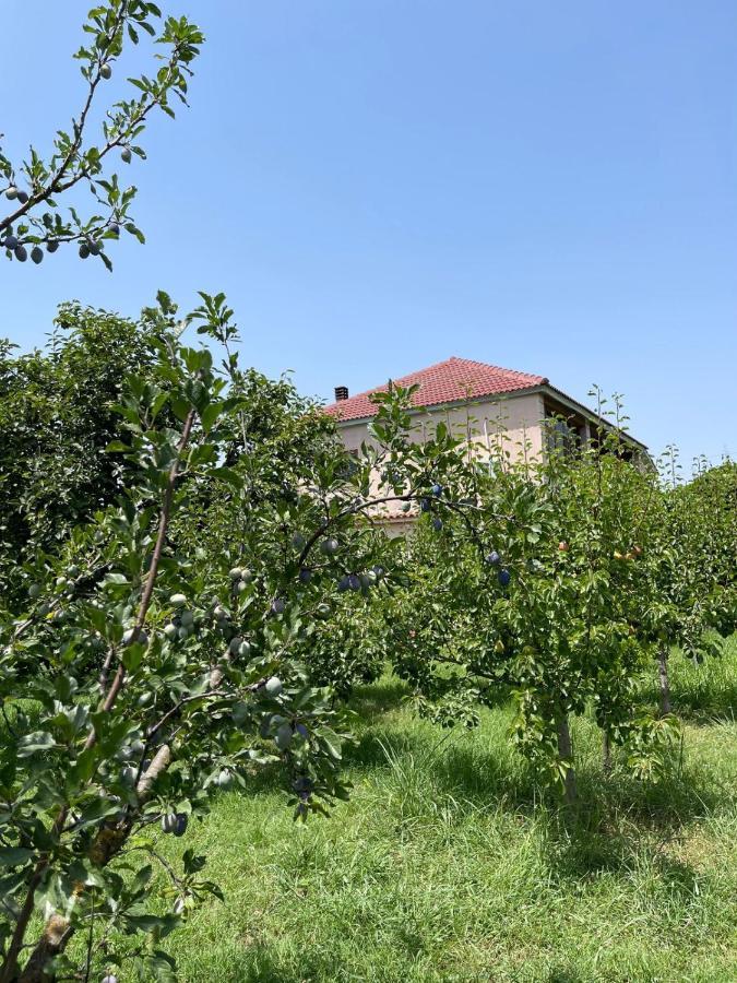 Villa Mance ベラト エクステリア 写真