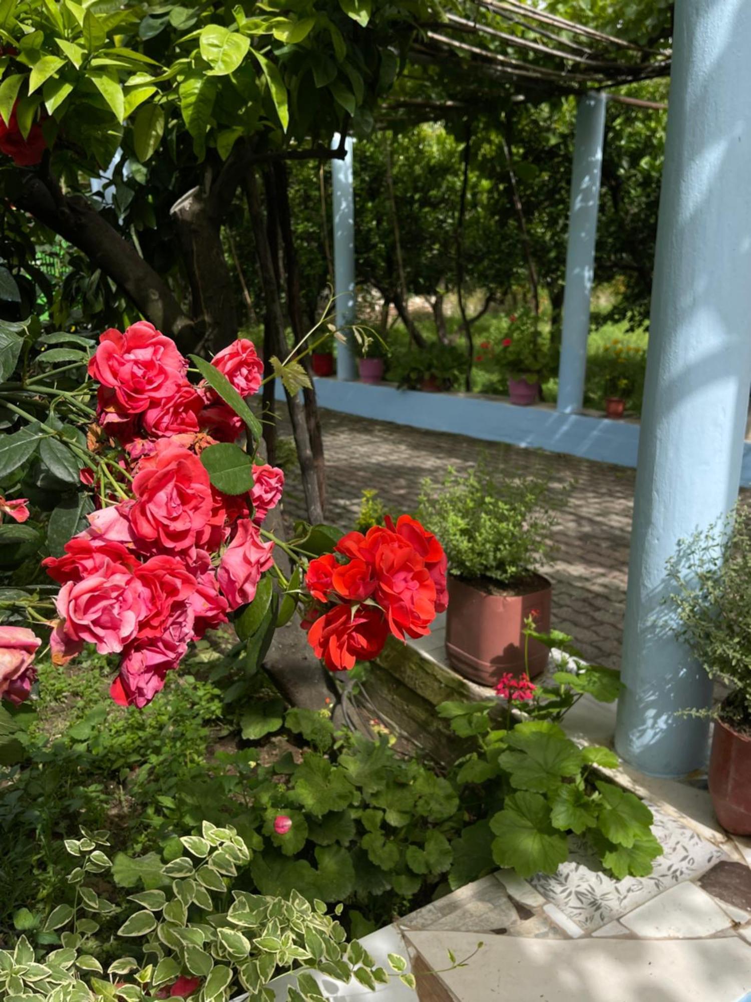 Villa Mance ベラト エクステリア 写真