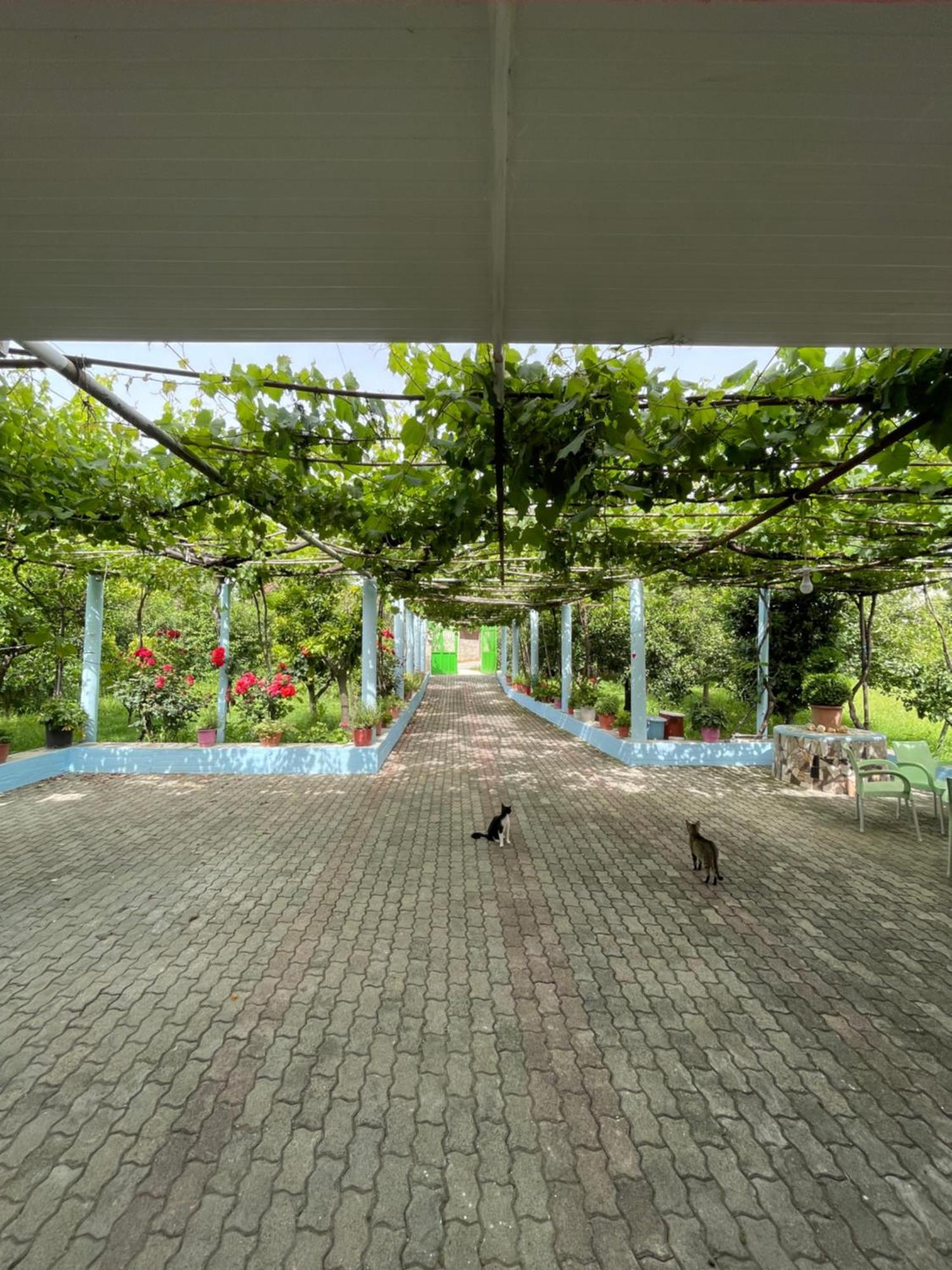 Villa Mance ベラト エクステリア 写真