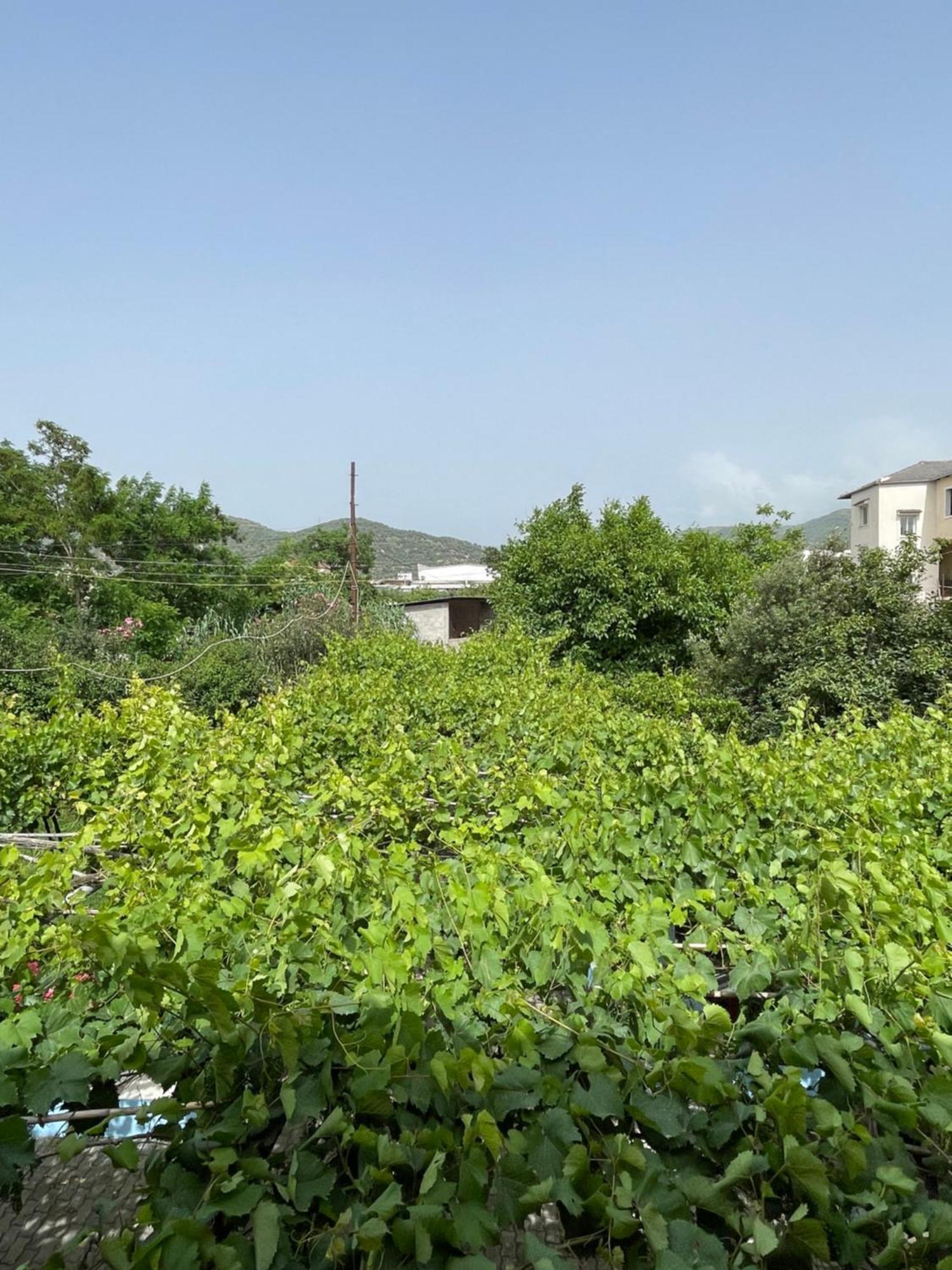 Villa Mance ベラト エクステリア 写真